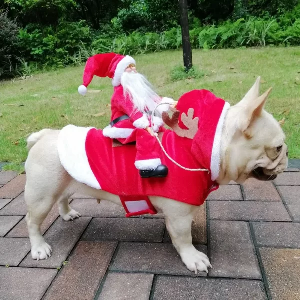 Santa Claus Riding a Dog Jacket