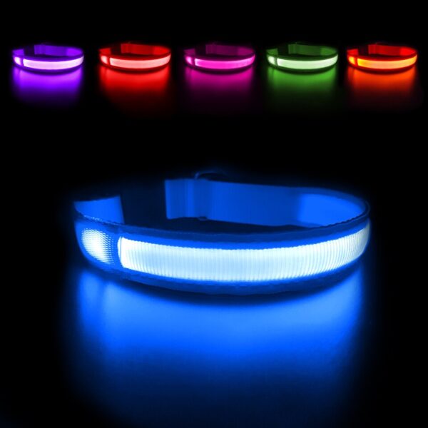 Luminous Dog Collar - Image 6