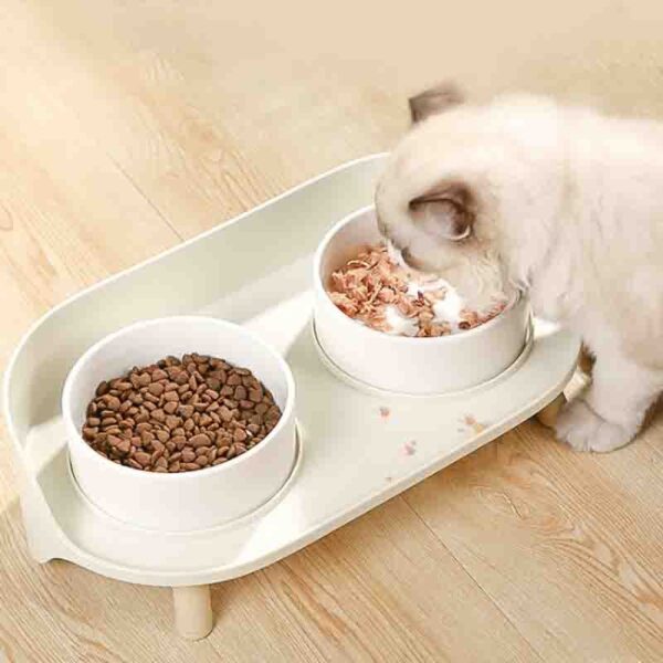 Dual Feeding Cat Bowls - Image 3