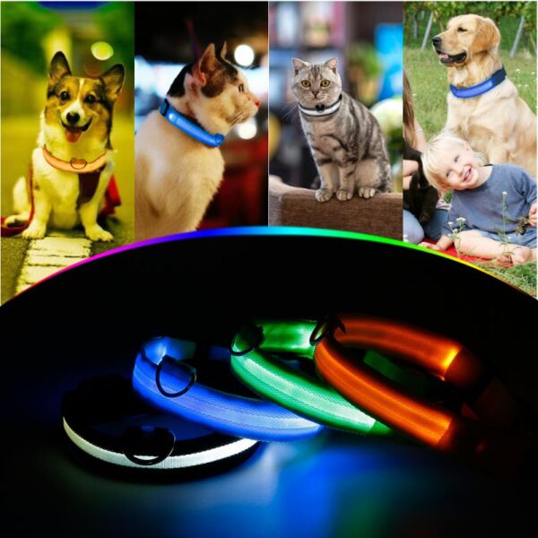 LED Dog Collar - Image 10