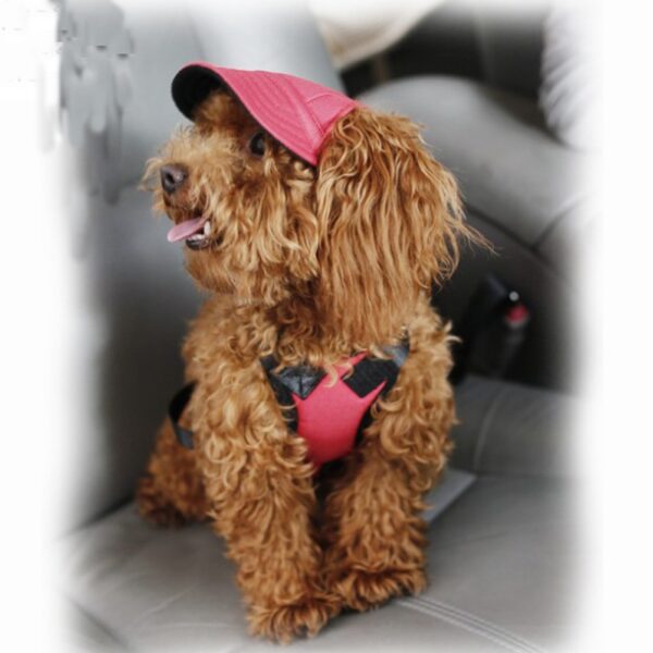 Windproof Dog Caps - Image 5