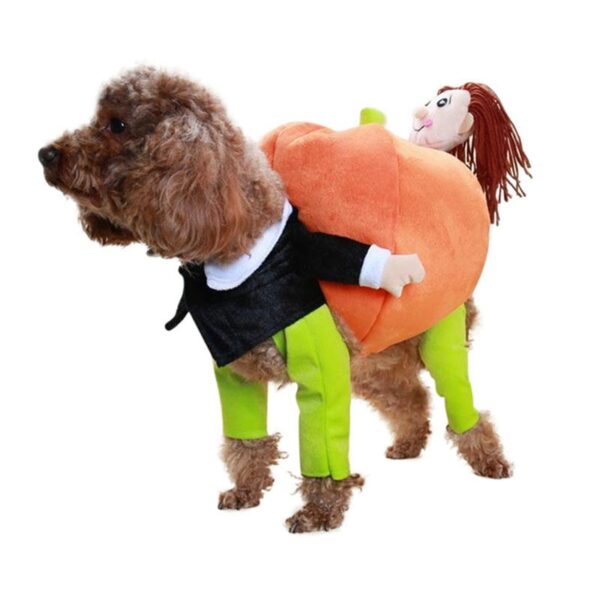 Pumpkin Dog Cosplay - Image 2