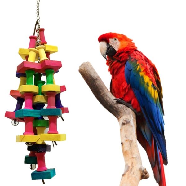 Parrot Chewing Toy