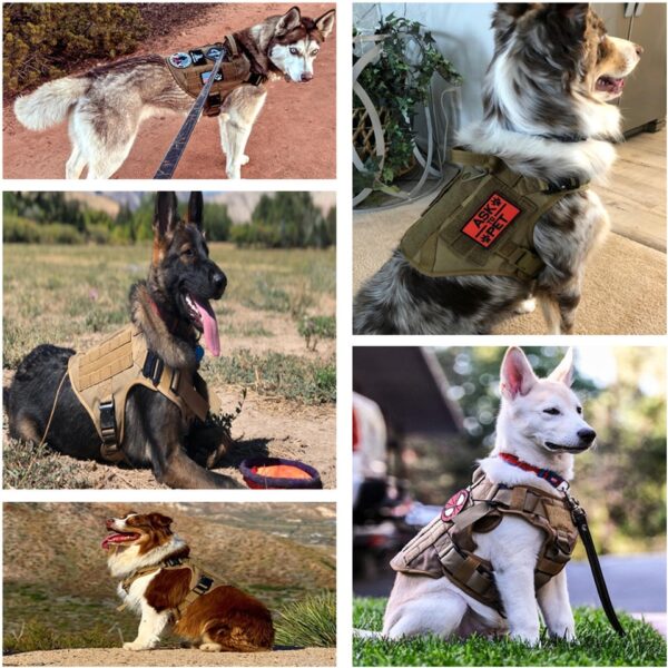 Tactical Dog Harness - Image 8