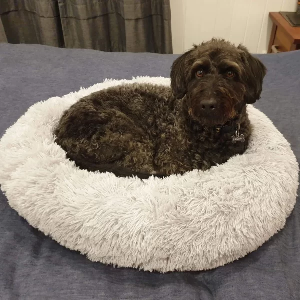 Winter Warm Dog Bed