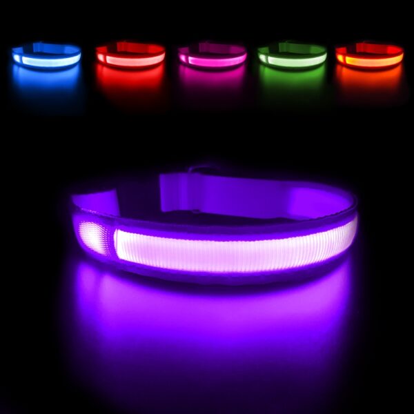 Luminous Dog Collar - Image 10