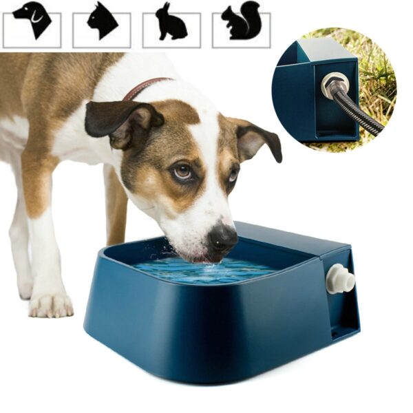 Water Storage Bowl with Floating Ball Automatic Dispenser