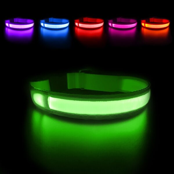 Luminous Dog Collar - Image 3