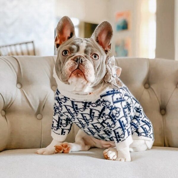 Dog Pattern Sweater - Image 4