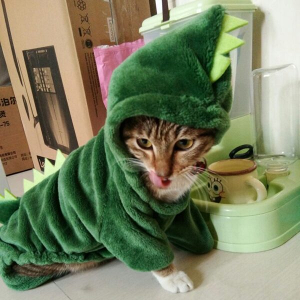 Kitty Dinosaur Costume - Image 2