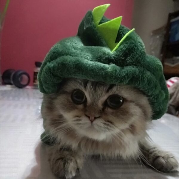 Kitty Dinosaur Costume - Image 3