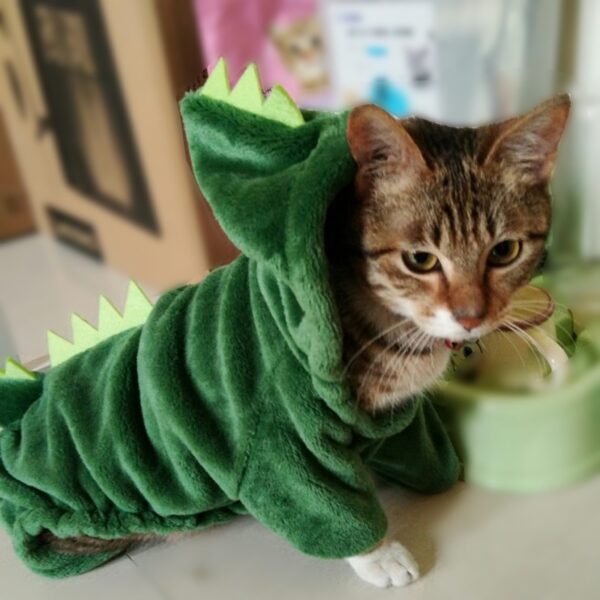 Kitty Dinosaur Costume