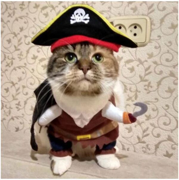 Funny Cat Pirate Costume - Image 4