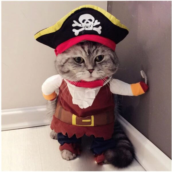 Funny Cat Pirate Costume