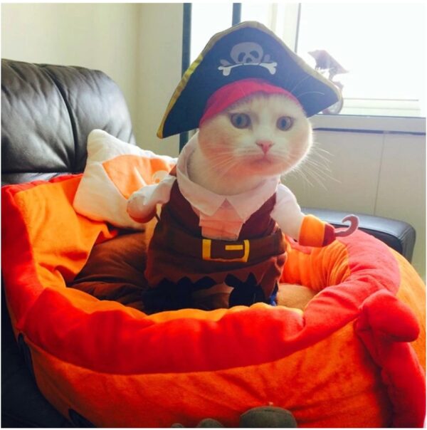 Funny Cat Pirate Costume - Image 3