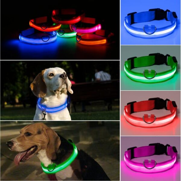 LED Dog Collar - Image 2