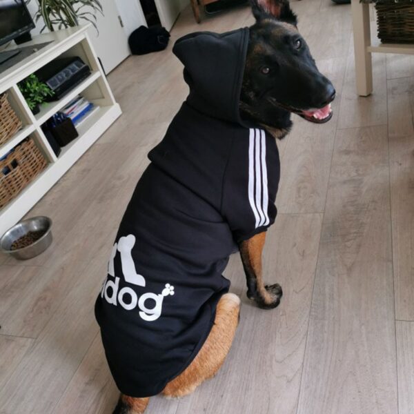 Mock Adidas Hoodie