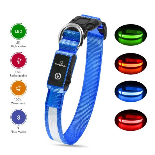 Luminous Dog Collar - Image 12