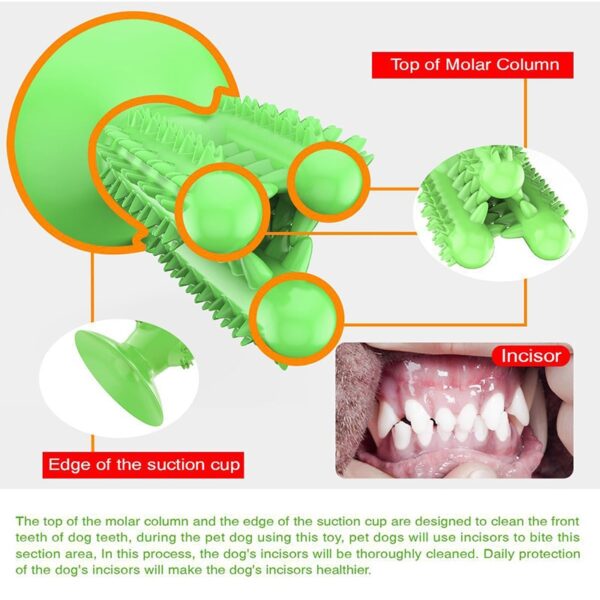 NEW Dog Toothbrush Toy - Image 5