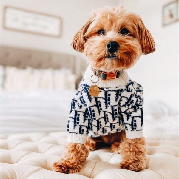 Dog Pattern Sweater