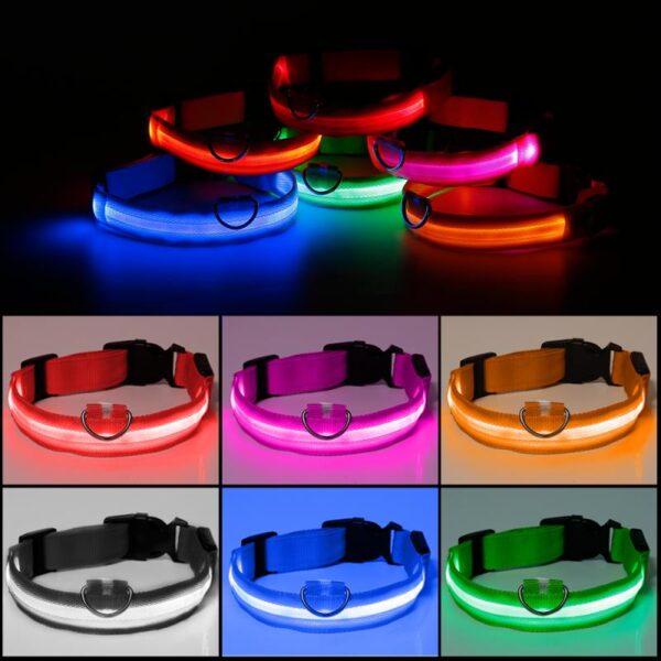 LED Dog Collar