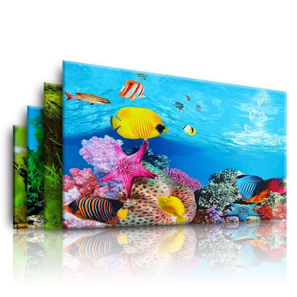 3D Aquarium Landscape