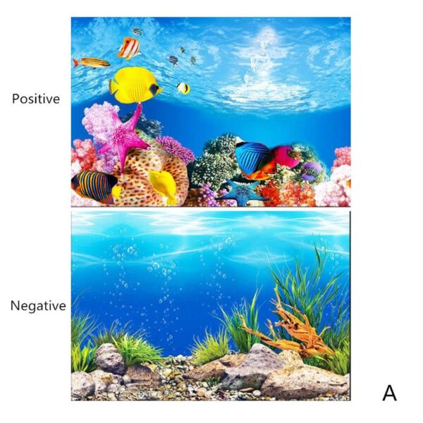 3D Aquarium Landscape - Image 7