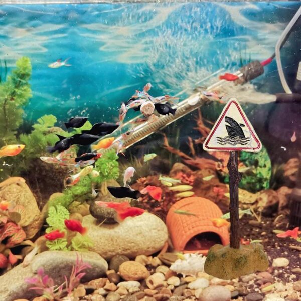 Fish Tank Warning Signs - Image 11