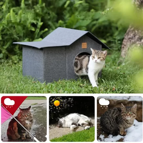 New Waterproof Cat House - Image 2