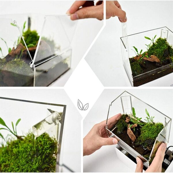 Mini Desktop Fish Tank - Image 2