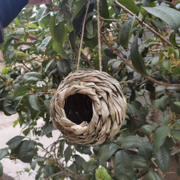 Natural Grass Bird Nest - Image 5