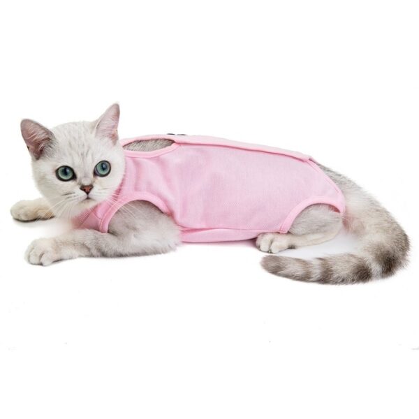 Fashionable Cat Shirt - Image 4