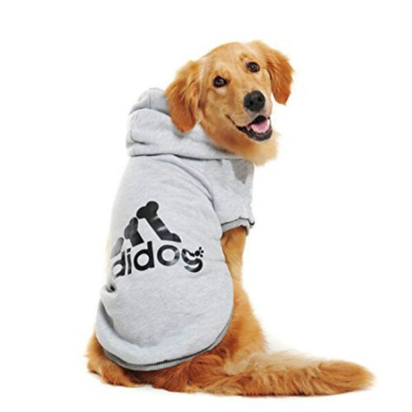 Fleece Adidog Jacket for All Sizes - Image 12