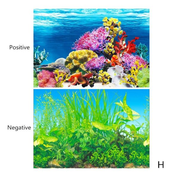 3D Aquarium Landscape - Image 12