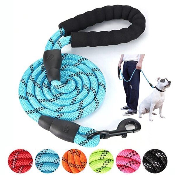 Reflective Training Leash