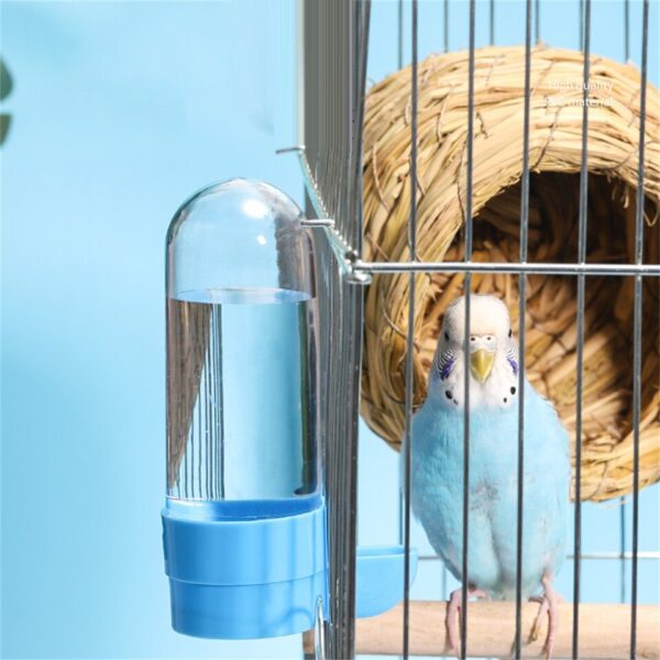 Automatic Bird Feeder - Image 5