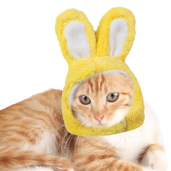 Cat Easter Bunny Costume