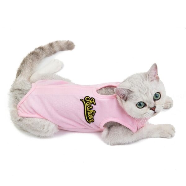 Fashionable Cat Shirt - Image 3