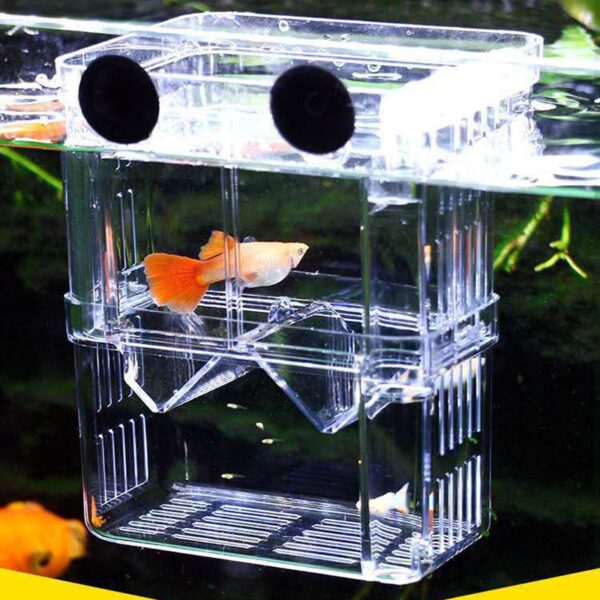 Acrylic Fish Tank