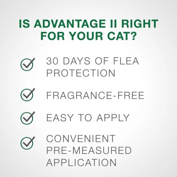 Vet-Recommended Flea Prevention for Small Cats 5-9 lbs, 6-Monthly Treatments Cat Supplies - Image 3