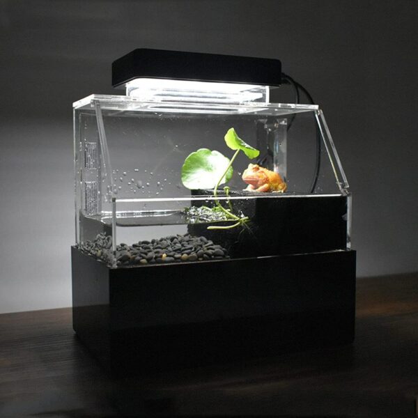 Mini Desktop Fish Tank