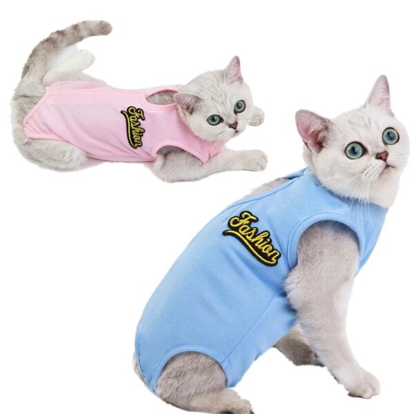 Fashionable Cat Shirt