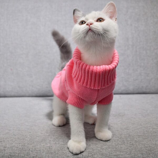 Cat Sweater Pullover - Image 2