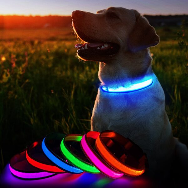 Luminous Dog Collar - Image 7