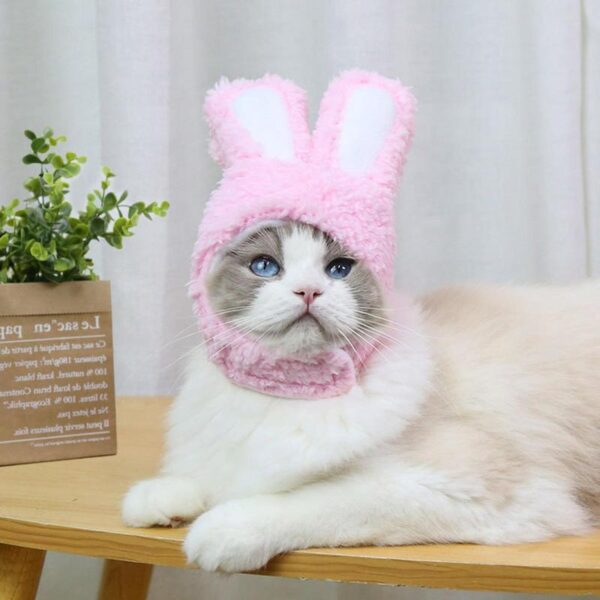 Cat Easter Bunny Costume - Image 10