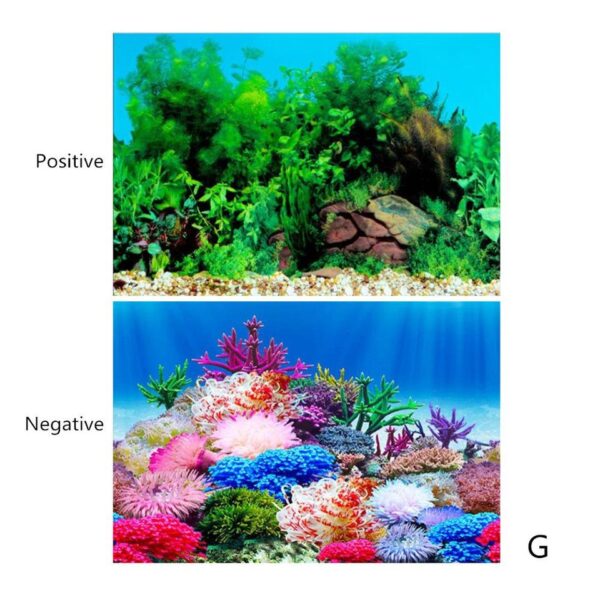 3D Aquarium Landscape - Image 4