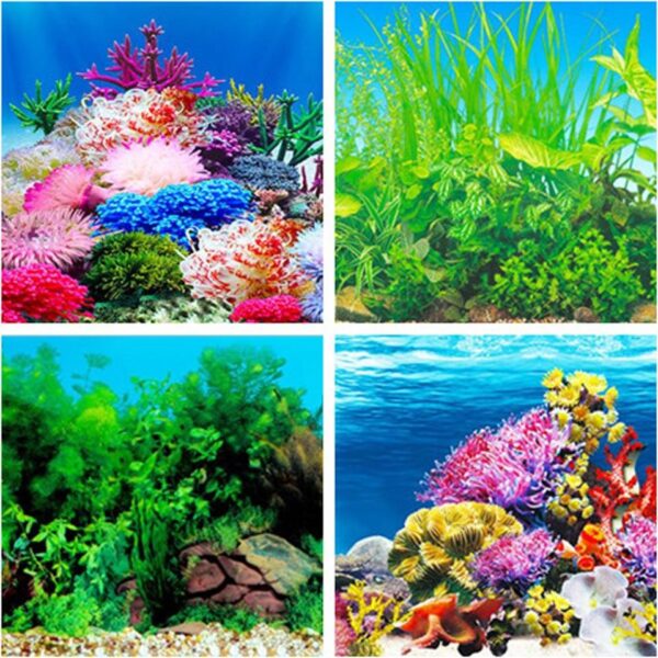 3D Aquarium Landscape - Image 10