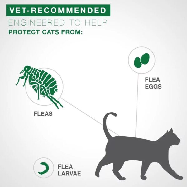 Vet-Recommended Flea Prevention for Small Cats 5-9 lbs, 6-Monthly Treatments Cat Supplies - Image 2