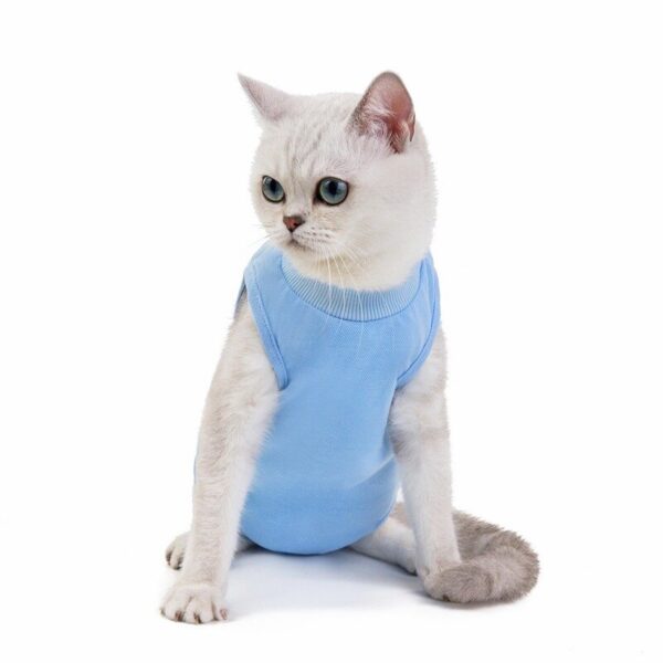 Fashionable Cat Shirt - Image 2