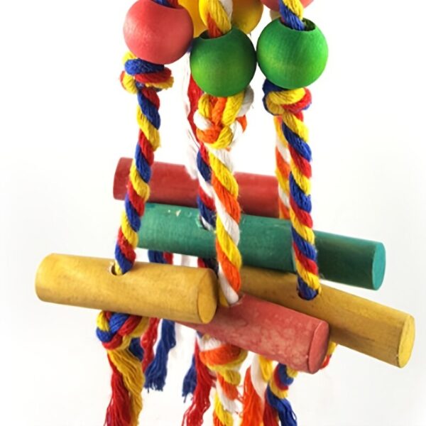 Colorful Parrot Toy Cotton Rope - Image 5